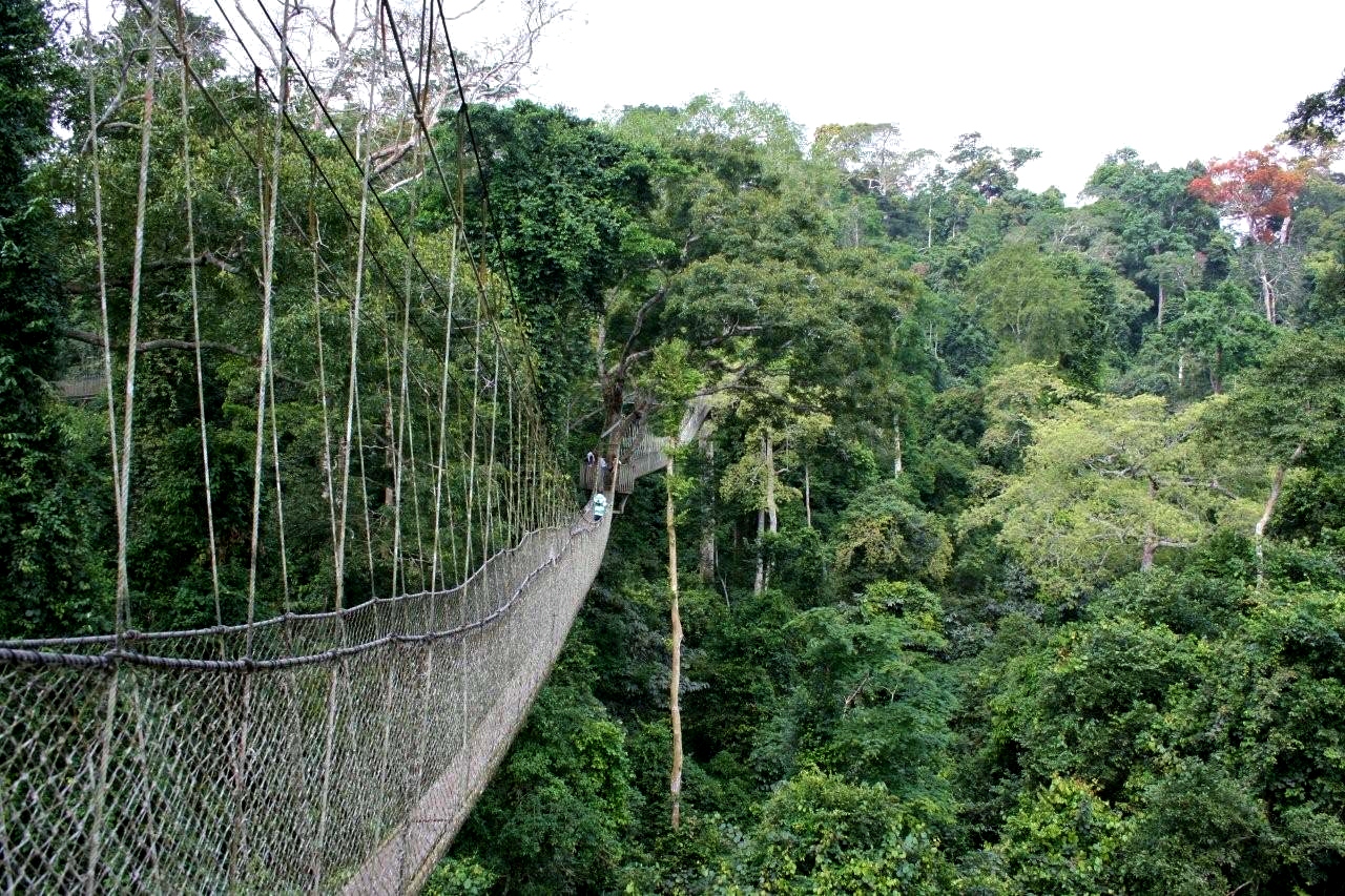 Kakum National Park canopy walkway